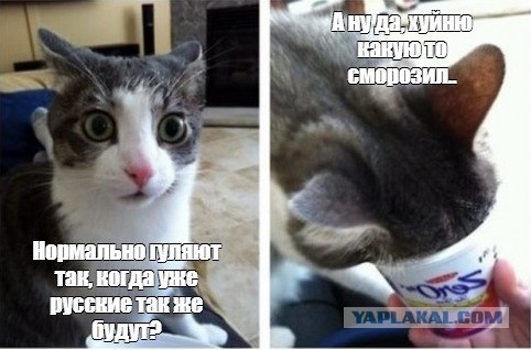 Обычная свадьба в Ингушетии
