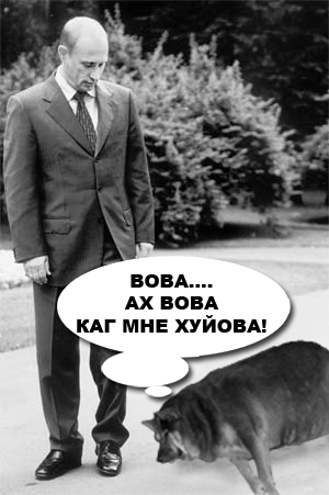 Фотожаба: О чем же думает собака?....