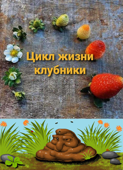 Бредзона 18.05.2020