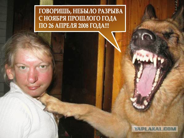 Фотожаба: Звонок в Стрим! Антон Уральский