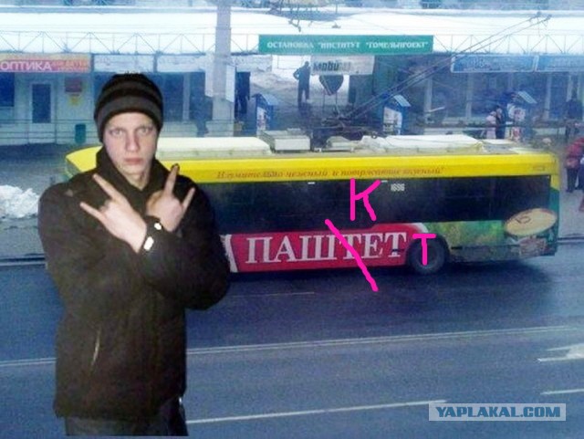 Скотсети и прочие интернеты 03.06.20