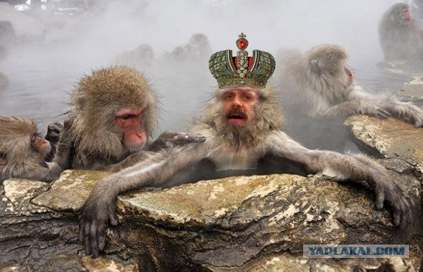 Фотожаба: Никита Михалков