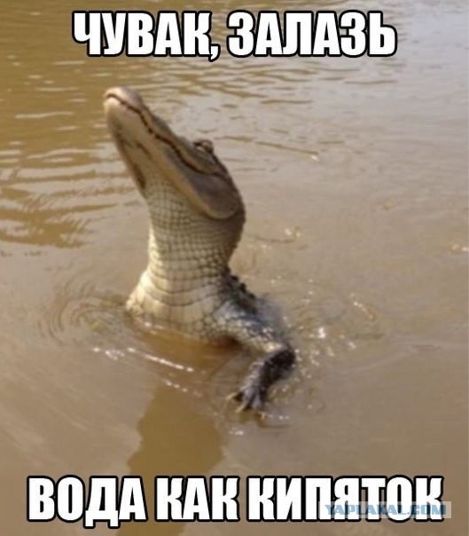 На маленьком плоту...
