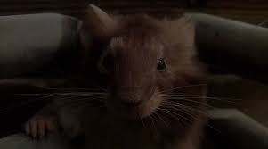 Мышиная охота 1997. Мышиная охота фильм 1997 мышонок. Мышка и два брата. Приключения кузенов эмили и александр. Приключения кузенов эмили и александр.