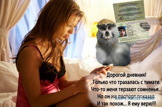 А пока Тимати спит - мы жабим