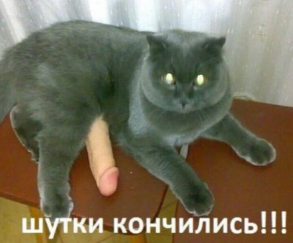 Картинки разные нужны, картинки всякие важны