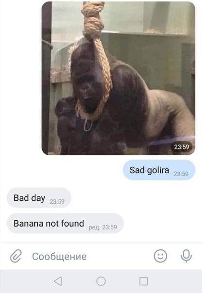 АХТУНГ! все на плановую деградацию!