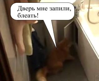 Оставьте дверцу открытой!