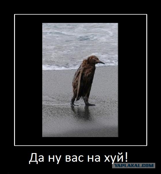 Попытка гонщика отремонтировать авто