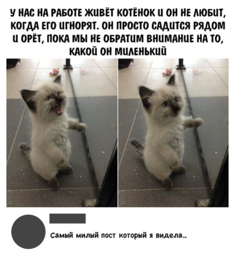 Маленькое зло