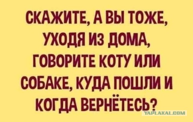Всяческие картинки 18.06.2021