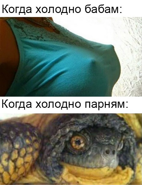 Пятница. И немного слегка пошлых картинок с надписями и без 16+ (13.08))