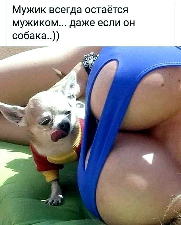 14 фактов о груди, часть 1