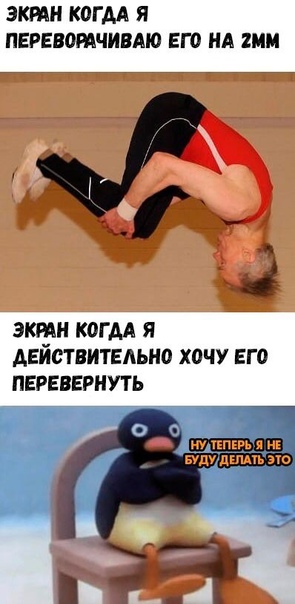 Весёлый полтишок 19.11.2021