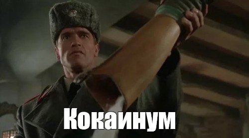 Вице-мэр Новосибирска сделала снежного ангела в купальнике