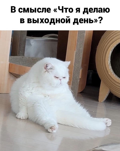 Картинки и мемы, всем прекрасных выходных