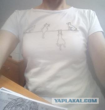 «Чё вам, бабам, надо?» Баба ответила...