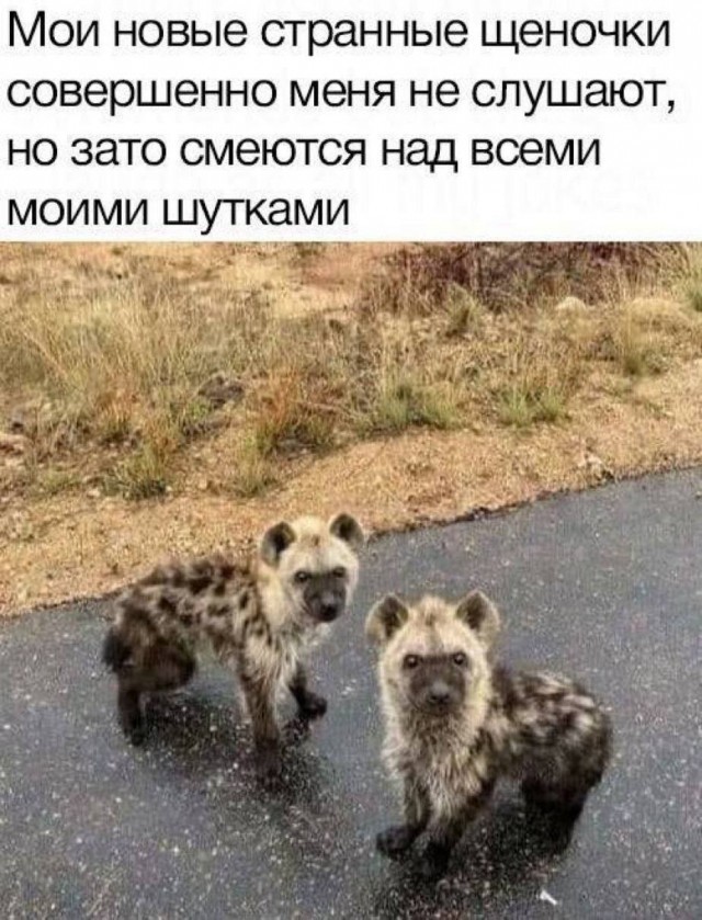 Картинки аморальные и всякие разные - 40