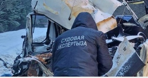 Авария под Смолевичами: 11 погибших. Самосвал столкнулся с маршруткой