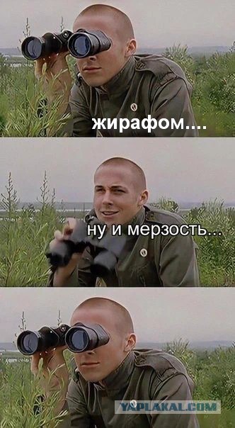 Лукуста — отравительница императоров, которую казнили через изнасилование жирафом