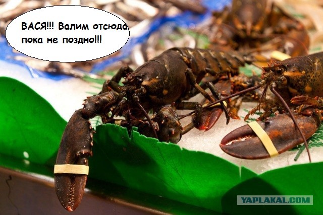 Рынок Бокерия