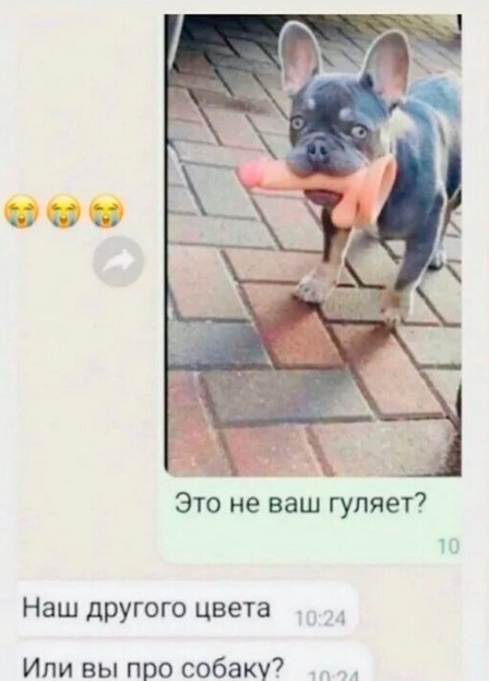 Мемчики и картинки для настроения и подумать