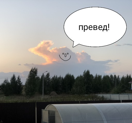 Воробей над Эльбрусом