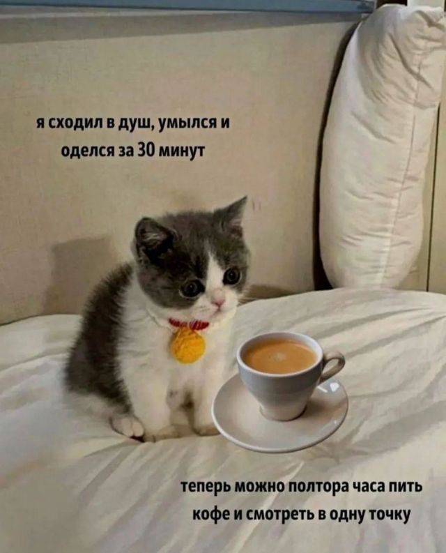 Завалялось тут случайно немного забавных картинок