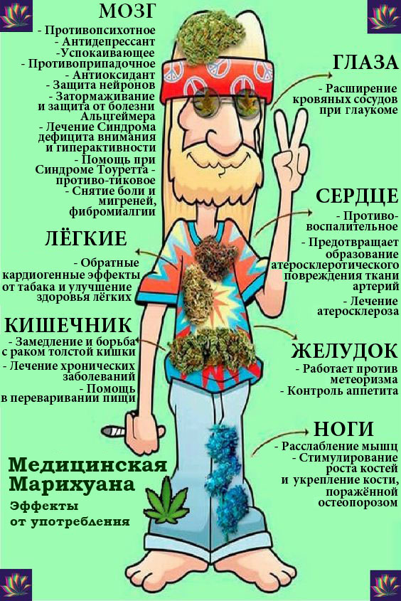 Прикольные и просто красивые картинки 24.05.2024