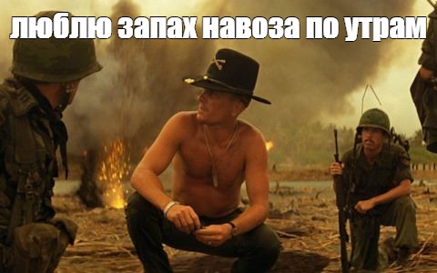 Отвлекитесь на пару минут, чтобы посмотреть эту увлекательную битву навозных жуков за добычу