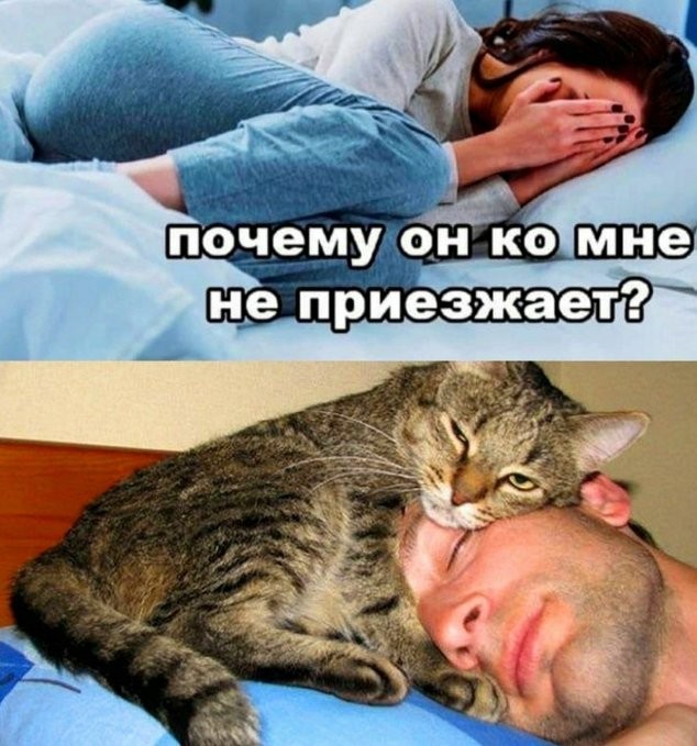 Сборник бабаянов или неожиданная помойка от Неждалигады