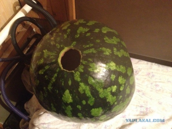 Если бы была возможность так выбирать