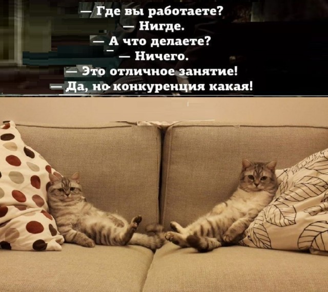 Заключительные баяны на этой неделе