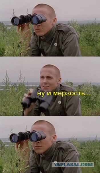 Слонотяп-2. Читайте, голосуйте