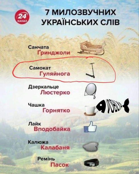 Нет же ущемления по языку на Украине?