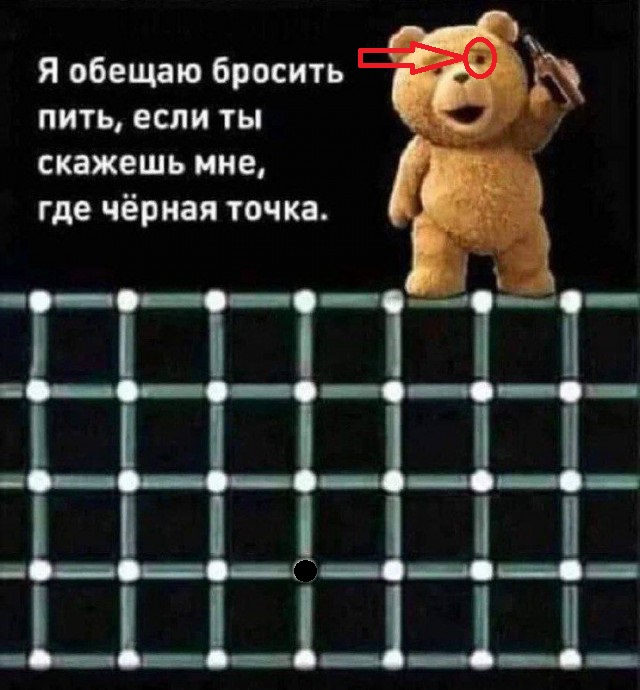 Весёлый полтишок 16.02.25