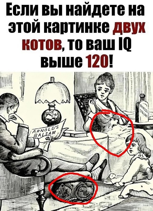 Так себе картинки 16.03.25