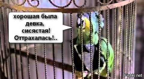 Почему изменилась до неузнаваемости Татьяна Овсиенко.