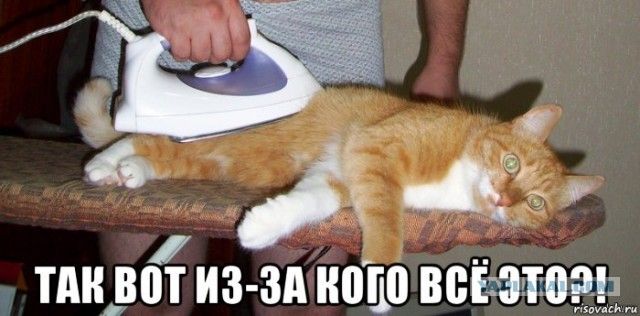 Шерстяные пидо.... братья наши меньшие