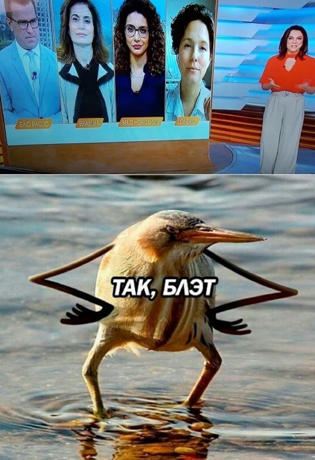 Ударим по баянам ?‍↔️