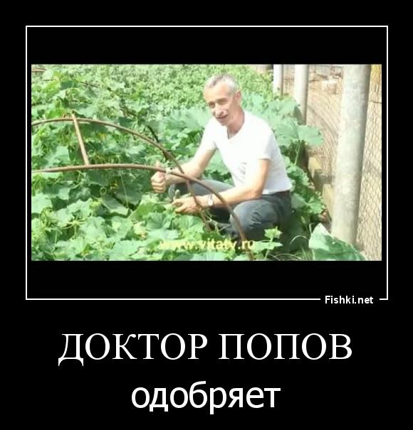 Огурцы в Дубае стоят почти в 10 раз дешевле, чем в России