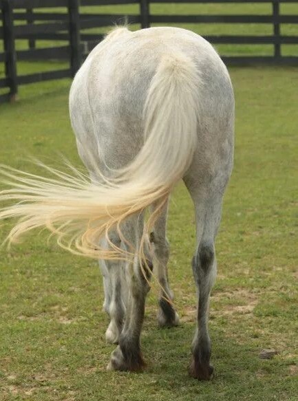 Деградация