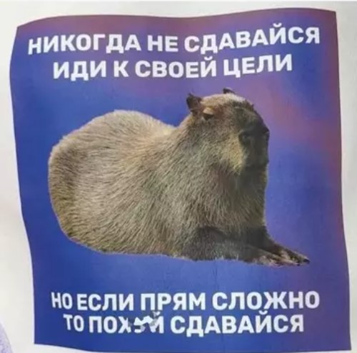 Картиночки, баянчики 01 апреля