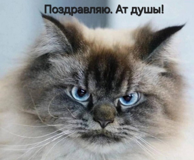 Полста !!!