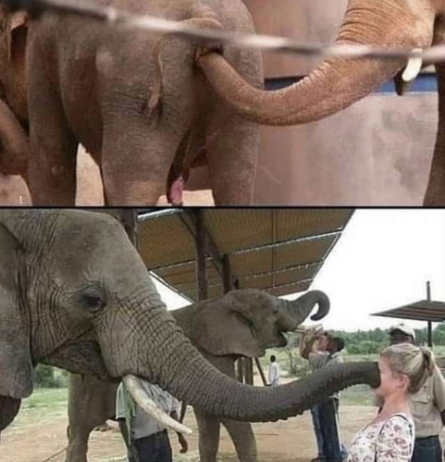 Мне тут доверили....