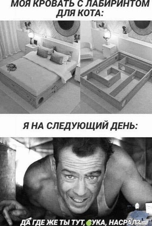 Так себе картинки 17.05.26