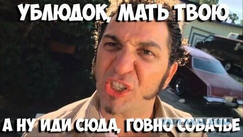 «Иди г*вно за своей собакой убери, курица тупорылая»