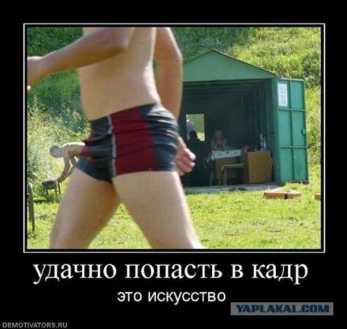 Самые известные фотобомбы уходящего года
