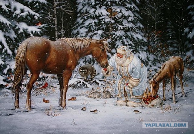 С Новым 2014 Годом, ЯПлакалъ!