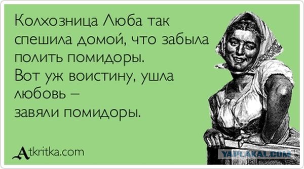 Смешные комментарии из социальных сетей (40 фото)